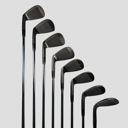 Zuntetsu (4-9,Pw,Sw) 8pcs Iron Set | R Flex | NS Pro 950 GH R