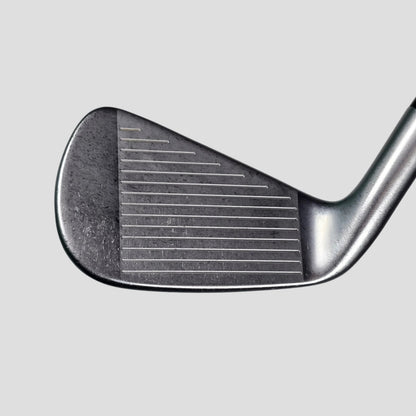 Std" | Taylormade (2021) P790 Iron Set 7pcs (4-9,Pw) | R Flex | True Temper Dynamic Gold 95 R300