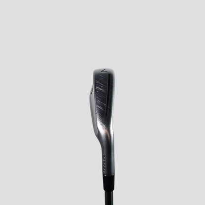 Std" | Taylormade (2021) P790 Iron Set 7pcs (4-9,Pw) | R Flex | True Temper Dynamic Gold 95 R300